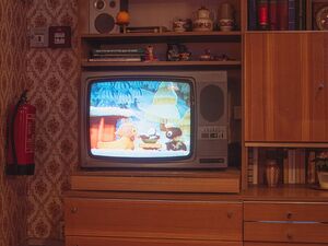 Pittiplatsch auf einem Fernsehgerät im DDR Museum, Berlin