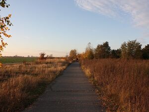 Berliner Mauerweg nahe Lichtenrade mit dem Lichterfelde-Kraftwerk im Hintergrund