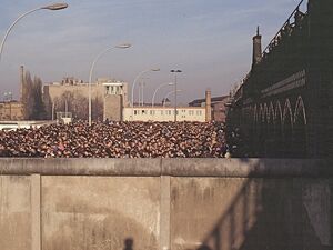 Menschenmassen versammeln sich an der Oberbaumbrücke nach dem Mauerfall 1989