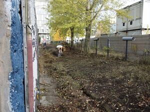 Rückseite des Parlaments der Bäume mit einem im Aufbau befindlichen Garten
