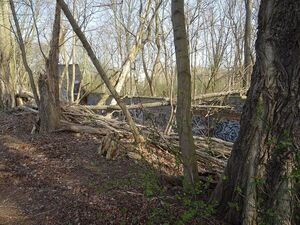 Die Mauerreste östlich des Bahnhofs Berlin-Schönholz wurden 2018 identifiziert