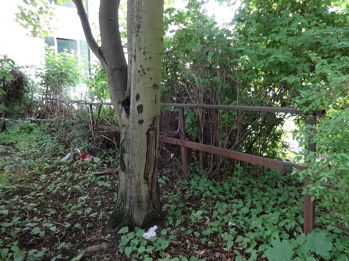 Ehemalige Grenzgebietsmarkierung in der Lohmühlenstraße, Alt-Treptow