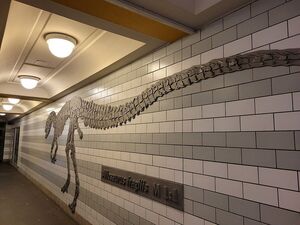 Kunstwerk Allosaurus fragilis im U-Bahnhof Naturkundemuseum, Berlin