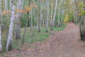 Lichtenrade-Mahlow Grenzweg