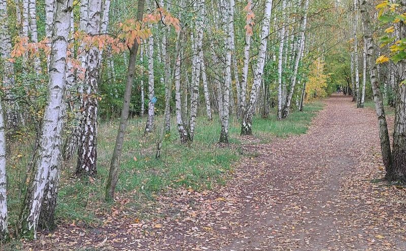 Lichtenrade-Mahlow Grenzweg