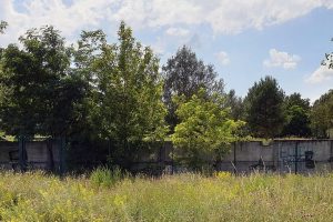 Rudow Hinterland Wall